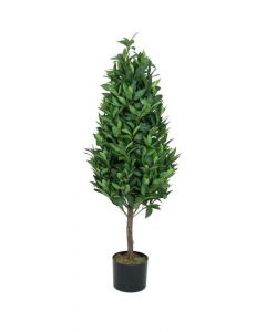 Laurel fa, természetes szárral, 120 cm 82506963