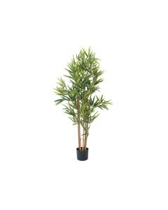 EUROPALMS Bambusz deluxe, 120cm, 82509165