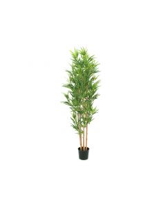 EUROPALMS Bambusz deluxe, 150cm, 82509166