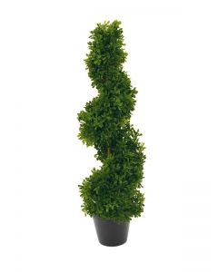 EUROPALMS Spirál bokor, 61cm, 82600009