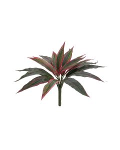 EUROPALMS Dracena piros zöld 27cm 82505773