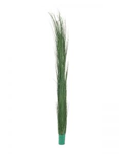 EUROPALMS Reed grass, sötétzöld, 127cm 82505850