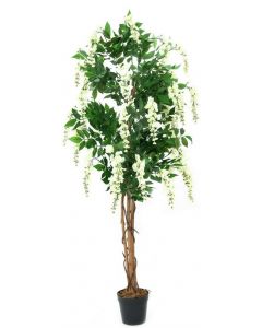 EUROPALMS Fehér akác, 180cm 82507106