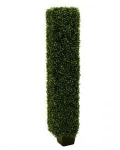 EUROPALMS Boxwood oszlop alakú növény, 118cm 82607624