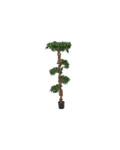 EUROPALMS Erdei bonsai fa, 180cm 82511516