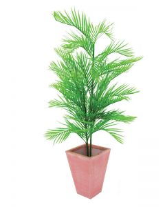 EUROPALMS Kentia pálmafa, 150cm 82609505