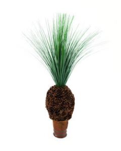 EUROPALMS Esőfű pálma gócos törzzsel, 90cm 82511335