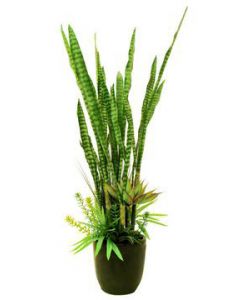 EUROPALMS Növény mix 190cm 82600035