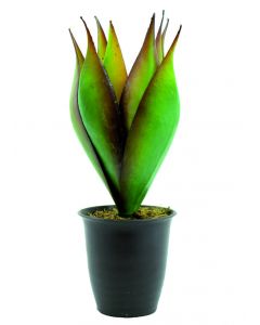 EUROPALMS Lotuszvirág 34cm 82809031