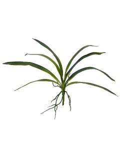 EUROPALMS Orchid leaf (EVA), green, 45cm    82530574