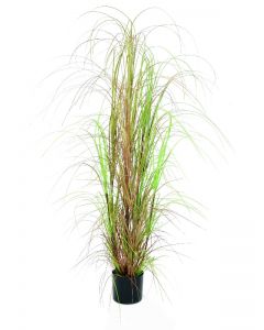 EUROPALMS Grass bush, 150cm     82600127