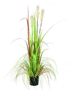 EUROPALMS Wild growth, 120cm    82600123