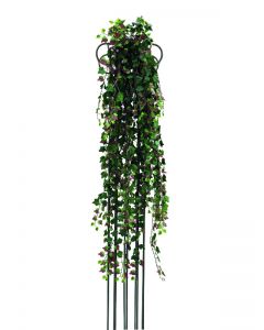 EUROPALMS Deluxe ivytendril, green-red 160cm     82503713