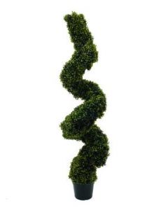 EUROPALMS Boxwood spiral, 120cm    82607610