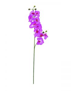 EUROPALMS Orchid spray, lila, 100cm     82530323