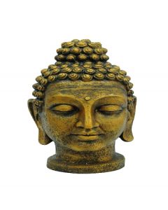 EUROPALMS Buddhahead, antik-gold, 75cm    83313235