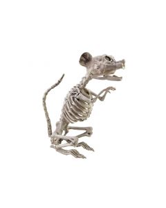 EUROPALMS Halloween Csontváz Patkány 
